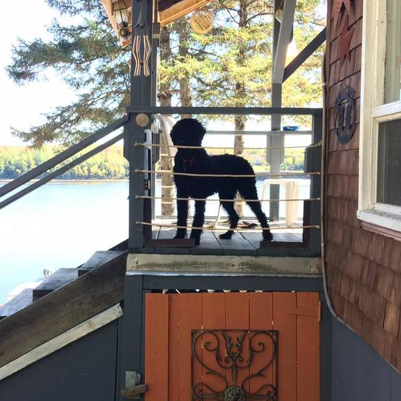 Meet your Posher, Nancy - Picture 1 of 1